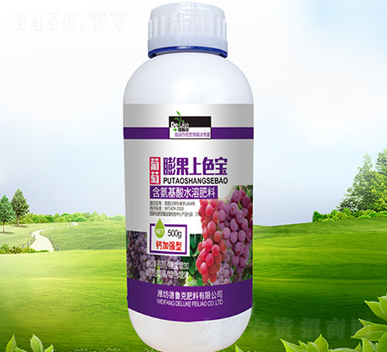 ���������ɫ��-������