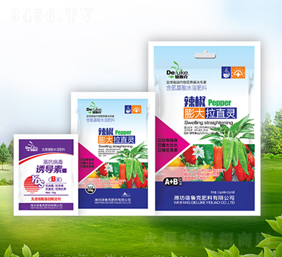 ���������ֱ�`+�T��(d��o)��-������