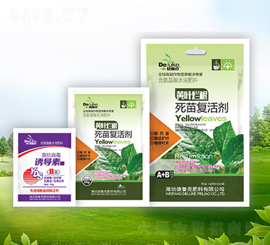 �S�~��������ͻ+�T����-������