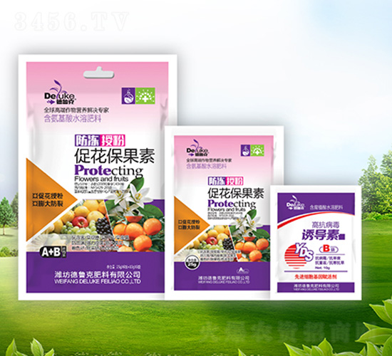 �����ڷ۴ٻ�������+�T����-������