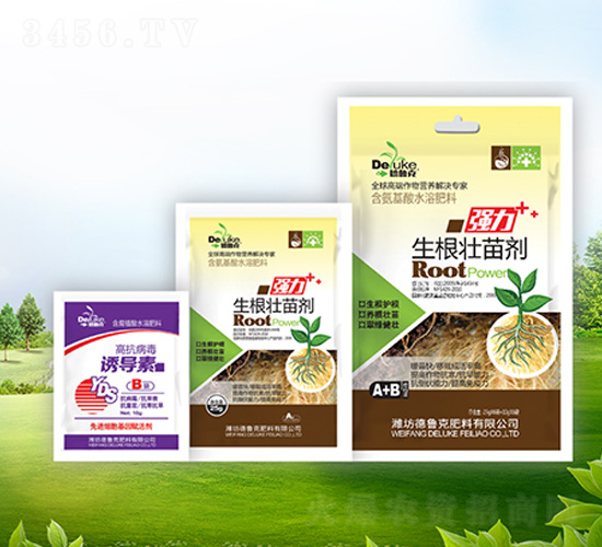 �������焩+�T����-������