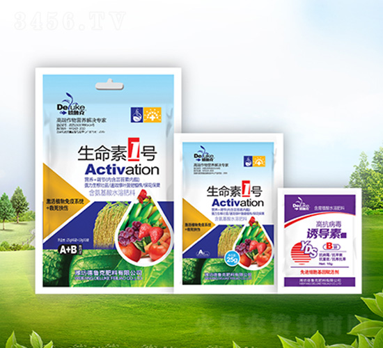 ������1̖+�T��(d��o)��-������