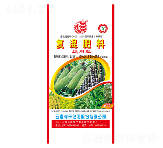 ������͏�(f��)�����11-8-6-���S