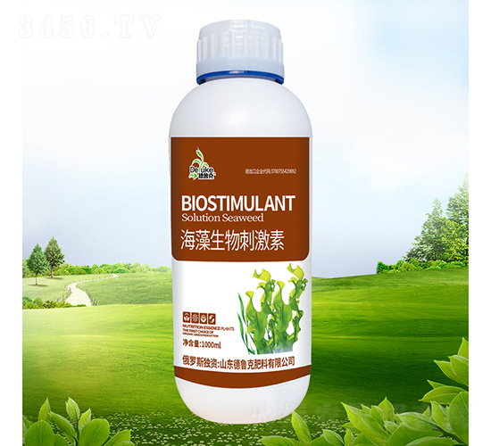 ��������̼���-������