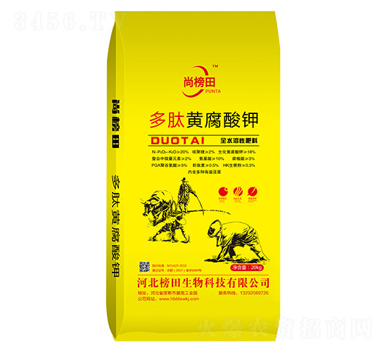 �����S�����-�а���-��������