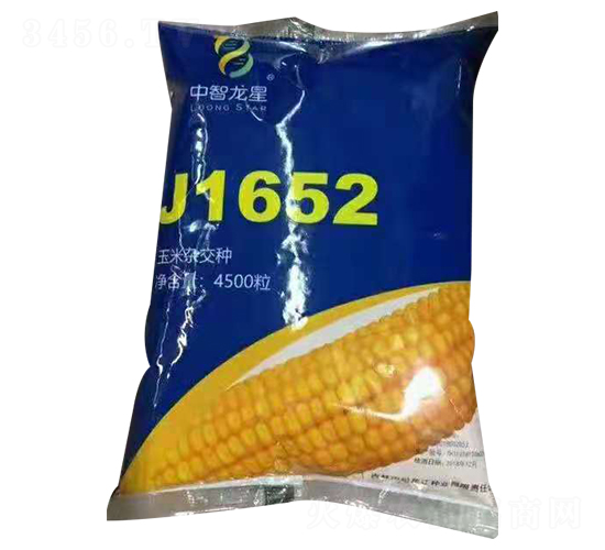 J1652-���׷N��-��������