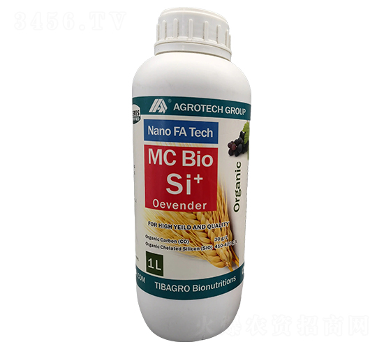 �W�ع�-���Ÿ��_-����̩��