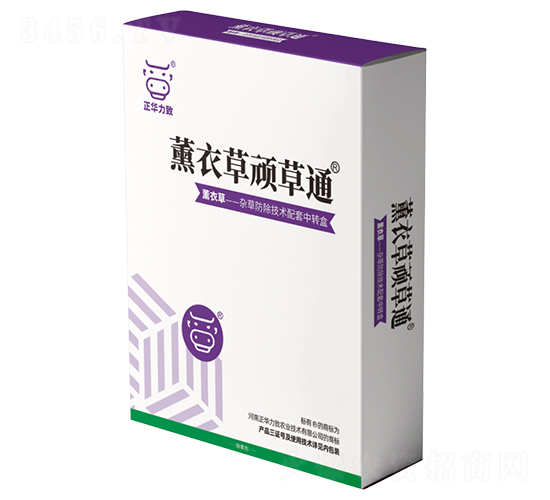 ޹�²��B��ͨ-���A����