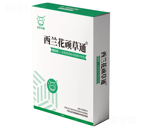 ���m���B��ͨ-���A����