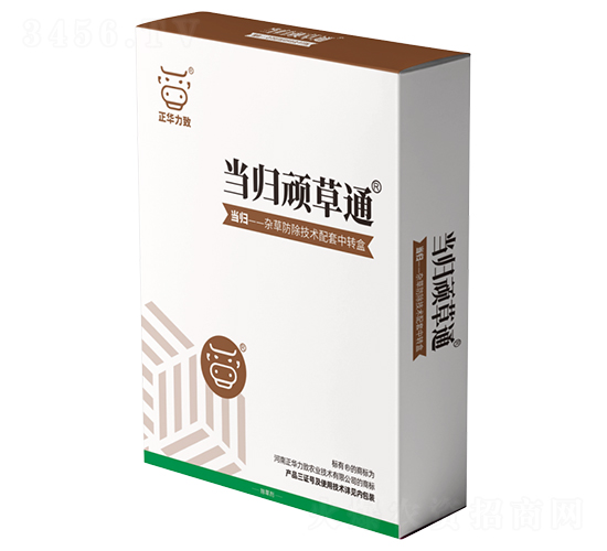 ���w�B��ͨ-���A����