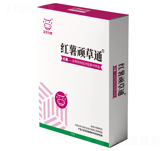 �t���B��ͨ-���A����