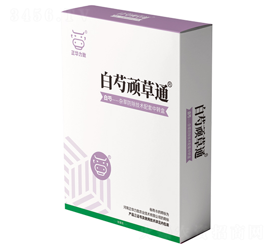 �����B��ͨ-���A����