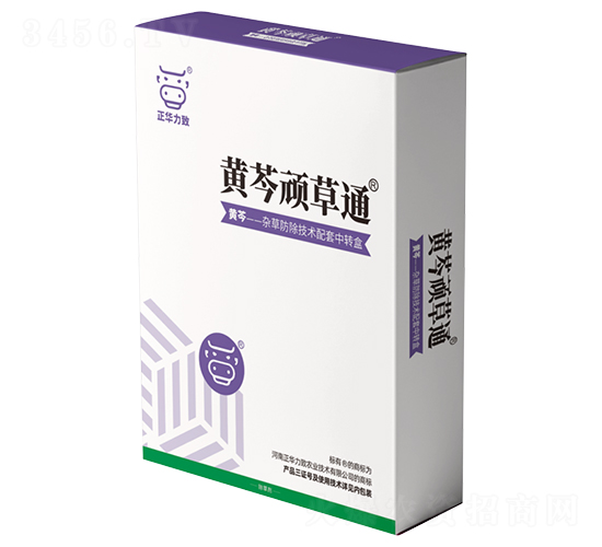 �S���B��ͨ-���A����