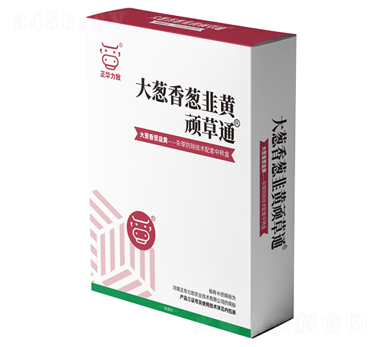 ���[�����[�����S�B��ͨ-���A����