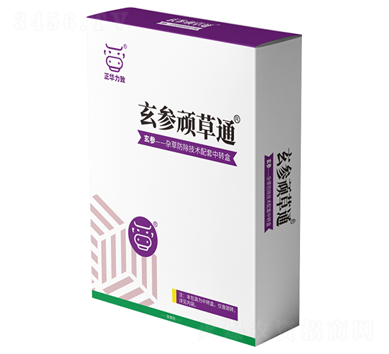 �����B��ͨ-���A����