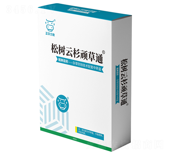 �ɘ���ɼ�B��ͨ-���A����