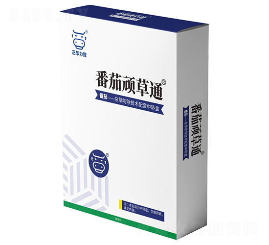 �����B��ͨ-���A����