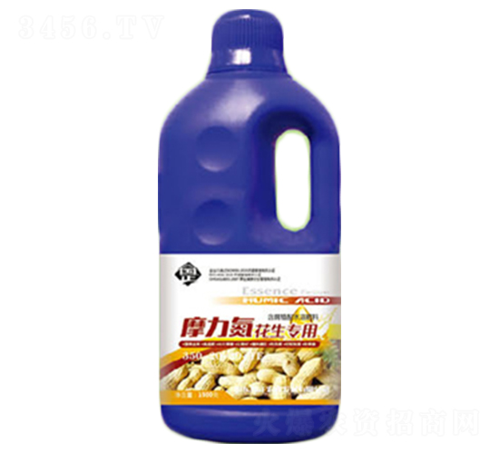 Ħ������������׷��-������