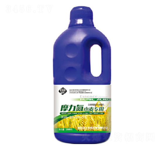 Ħ����С������׷��-������