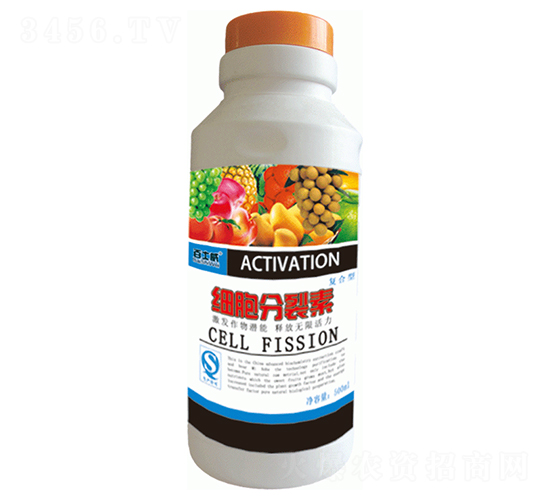 ��(x��)��������-��ʿ��