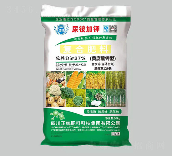 �S������͏ͺϷ���22-0-5��50���-�P������