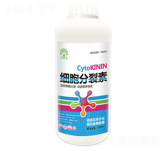 ����������-������-�r(n��ng)ʥ��