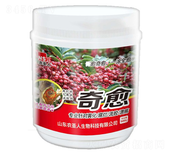 ����-�r(n��ng)ʥ��