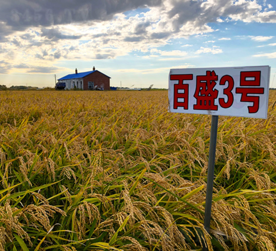 ��ʢ3̖(h��o)-ˮ���N��-���ϷN�I(y��)