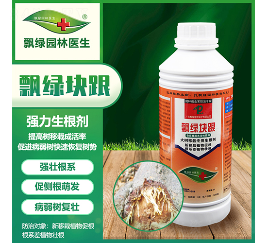 ���(sh��)���Ԍ���������-�h�G�K��-�h�G