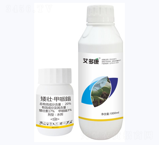 20%���ѡ������f-���࿵-ʩ���r�I(y��)