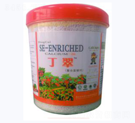 �������ϸ����}-�A�I����