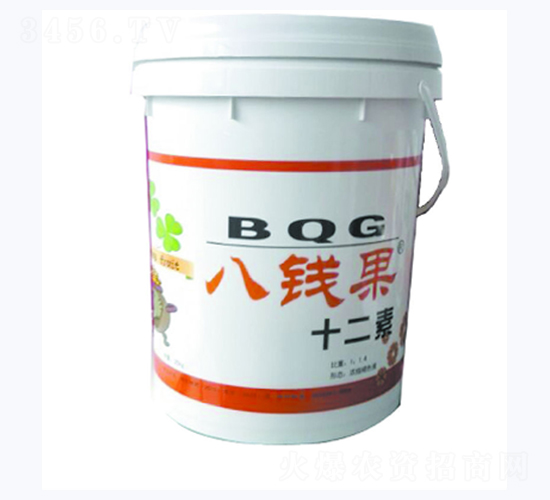 ���X��ʮ����-�A�I����