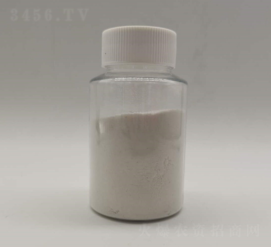 ���������-�����Ƽ�