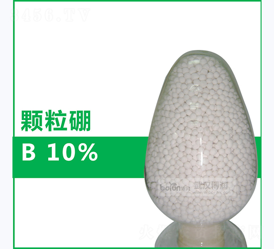 10%�w����-�����Ƽ�