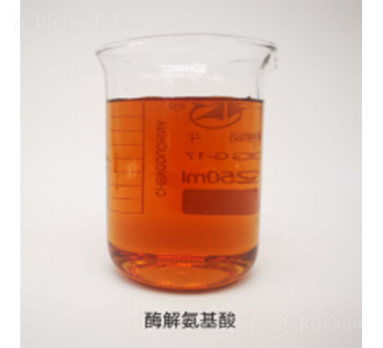 ø�ⰱ����-����(r��n)�Ƽ�