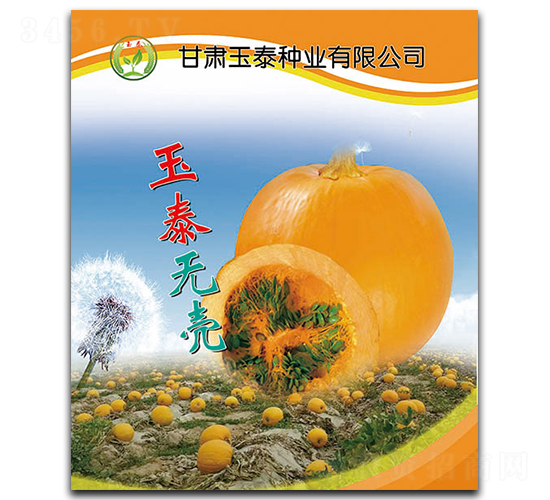 ��̩�o��-�o�����J�N��-��̩�N�I(y��)