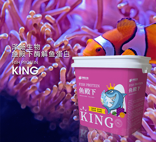 ø���~����-�~����-�ɕ�����