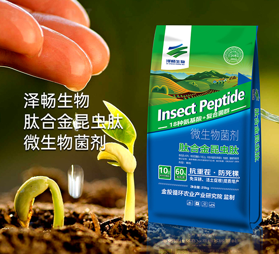 �ĺϽ�΢�������-�ɕ�����