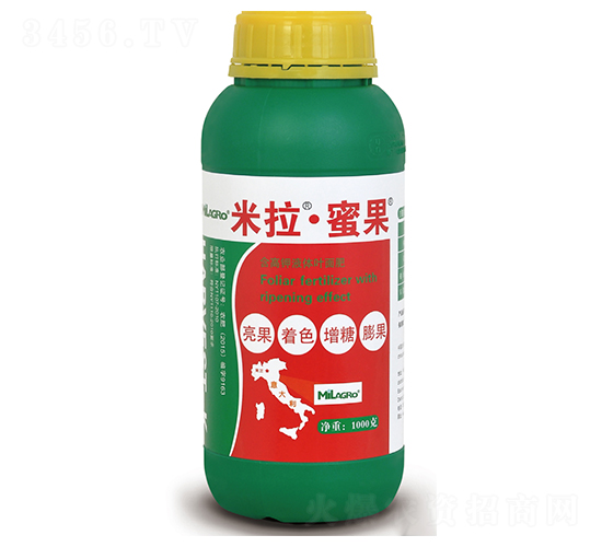 �����۹�-���h