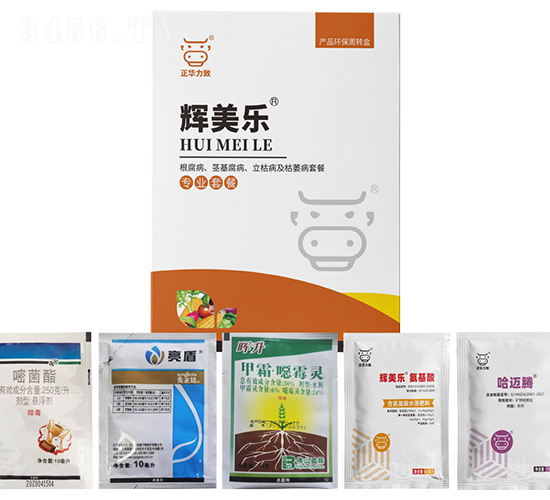 ���������o�����������ݲ�����ή���ײ�-�x����(l��)-���A����