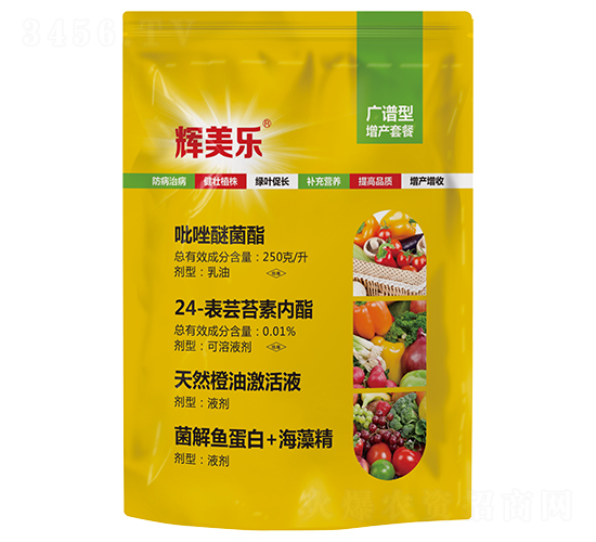 �V�V�����a�ײ�-�x����-���A����