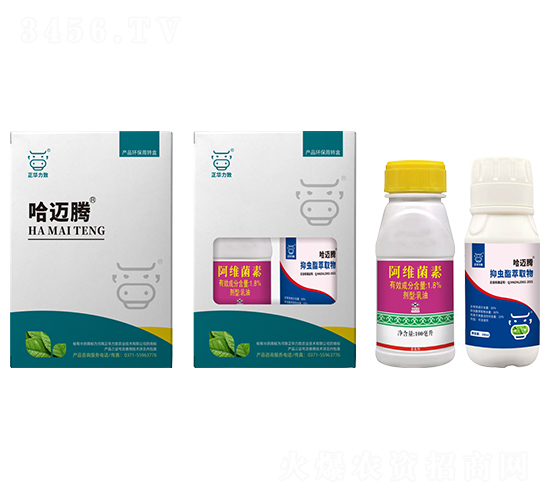 ���~�v���x�ײ�-���A����