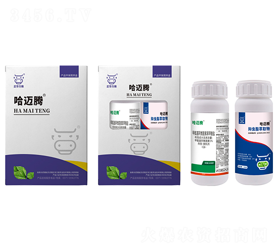 �E�R�����M���ײ�-���~�v-���A����