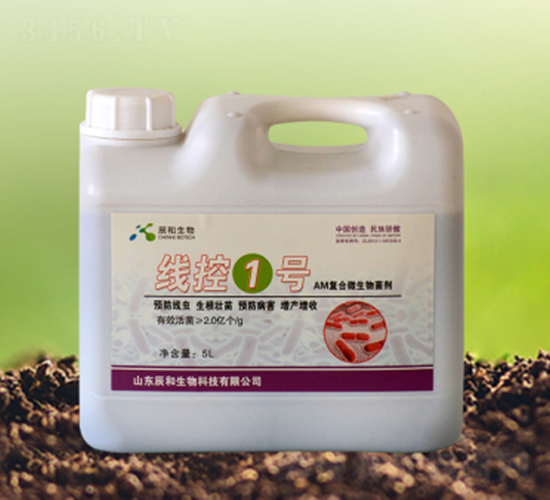 ����1̖-��������