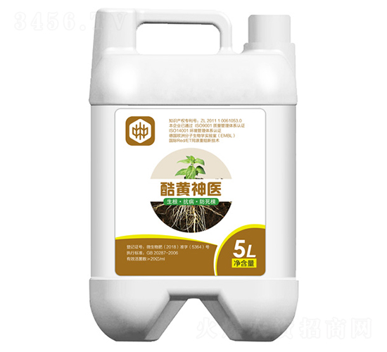 ΢�����-���S���t(y��)-��ֲ(li��n)�ϼ��F