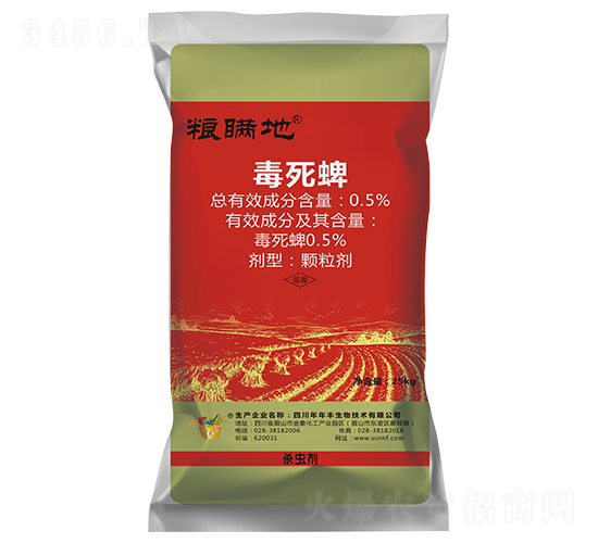 �����硤���ط��xˎ��-�Z�m��-�����S����