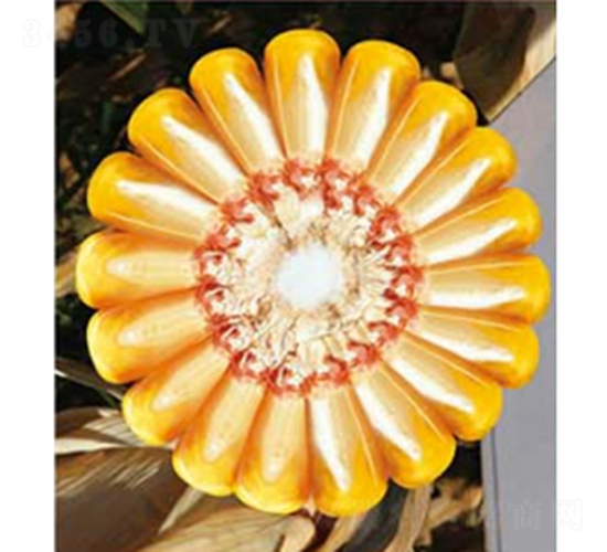 ������Q159-���׷N��-�A��¡�N�I(y��)