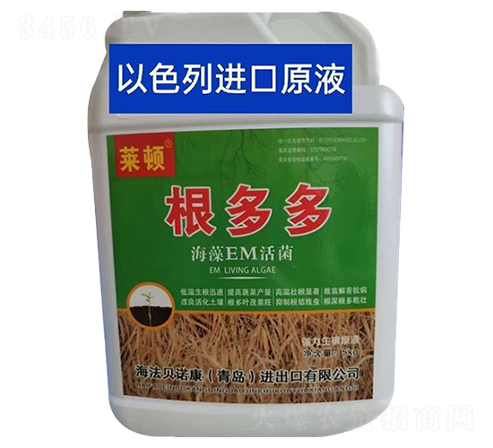 ����EM���-�����-�R�D