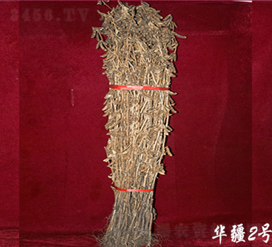 �A��2̖-�󶹷N��-��D�N�I(y��)