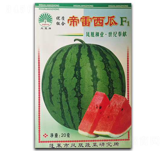 ����-���ϷN��-�P�˷N�I(y��)